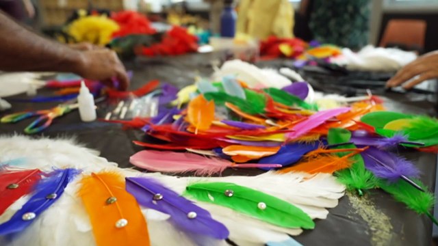 Sydney's La Perouse First Nations community to debut float at Mardi Gras
