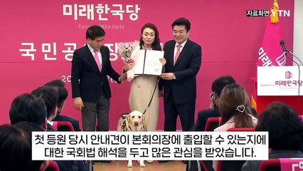 국회 첫 안내견 '조이' 은퇴..."의사봉 소리 아직도 맴돌아" [지금이뉴스] / YTN