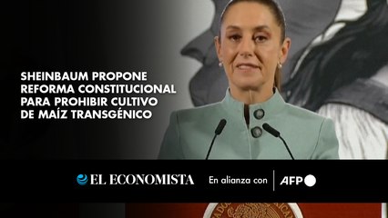 Presidenta de México propone reforma constitucional para prohibir cultivo de maíz transgénico