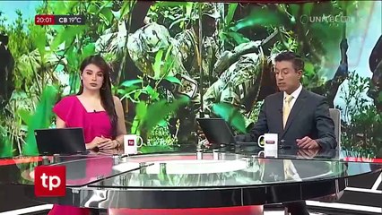 Ministro dice que la lucha contra la coca excedentaria mejoró en 2024, tras las observaciones de Unodc