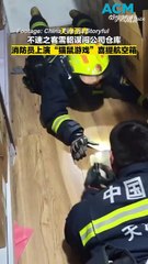 Ferret vs Firies: Mischievous critter outsmarts firefighters in China