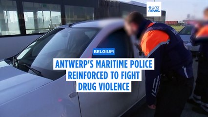 Belgium reinforces police forces at Antwerp harbour to fight drug violence