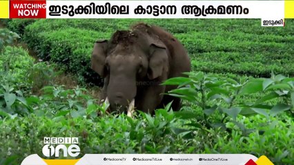 ഇടുക്കിയിൽ കാട്ടാനശല്യം പ്രതിരോധിക്കാൻ കർമപദ്ധതികളുമായി വനംവകുപ്പ്; 52 കോടിയുടെ പദ്ധതികൾ നടപ്പാക്കും
