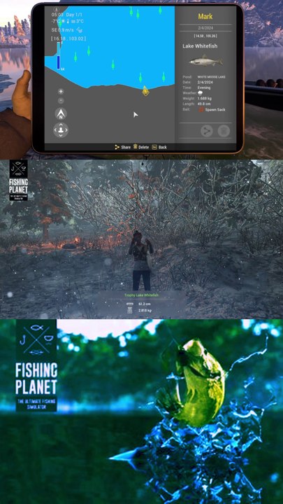 How to catch Lake Whitefish at White Moose Lake | Fishing Planet