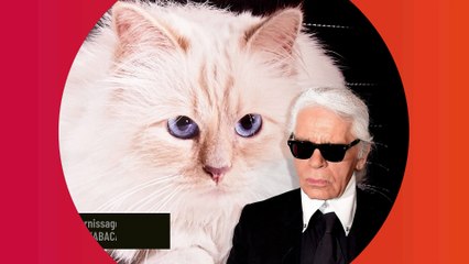 Karl Lagerfeld, ses derniers biens vendus plus d'un million d'euros pour rembourser le fisc !