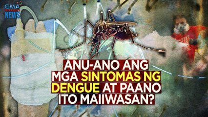 Anu-ano ang mga sintomas ng dengue at paano ito maiiwasan? | Need To Know