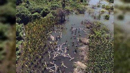 Agricultores afectados con presa de Monte Grande piden pagos de tierra