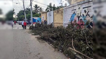 Denuncian escombros de árboles frente a una escuela