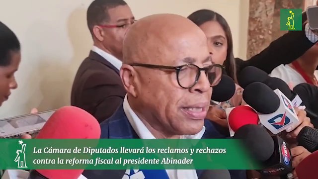La Cámara de Diputados llevará los reclamos y rechazos contra la reforma fiscal al presidente Abinader