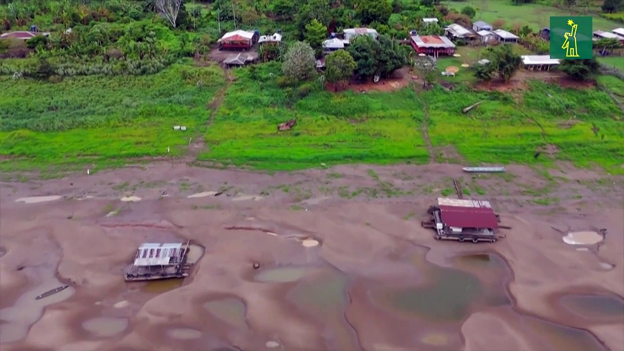 "Situación crítica" en afluentes del río Amazonas por sequía en Brasil