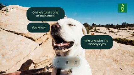 Microsoft le da a su inteligencia artificial voz, ojos e inteligencia emocional