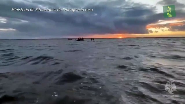 Rescatistas rusos luchan por salvar a cuatro orcas varadas en Rusia