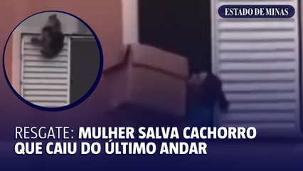 Resgate: Mulher salva cachorro que caiu do último andar de prédio