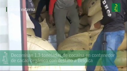 Decomisan 1.3 toneladas de cocaína en contenedor de cacao orgánico con destino a Bélgica.mp4