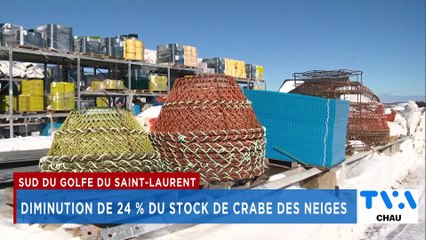 TVA Nouvelles CHAU 12h 21 février 2025