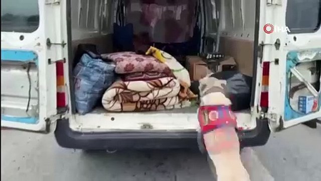 Narkotik köpeği uyuşturucu hapları buldu: 3 gözaltı