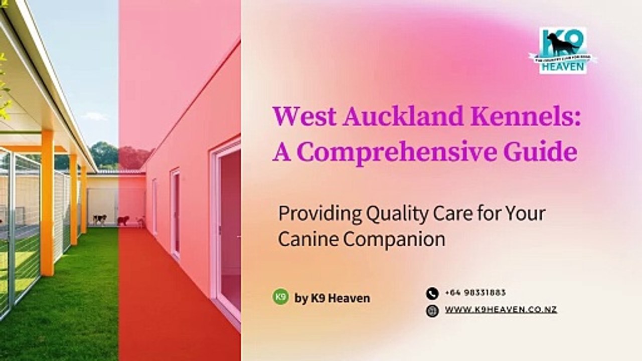 West-Auckland-Kennels-A-Comprehensive-Guide