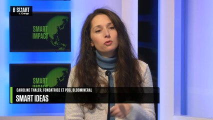 SMART IMPACT - Les biominéraux comme solution de stockage du CO2