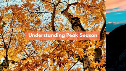 How to Move During Peak Season in Adelaide