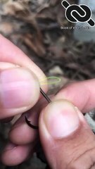 Famous fishing knot in the World #knotshort