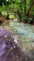 Le fleuve le plus pollué du monde