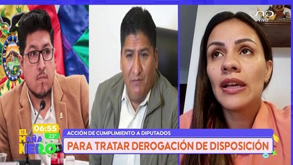 SCZ DIPUTADA DE CREEMOS PRESENTARÁ ACCIÓN DE CUMPLIMIENTO