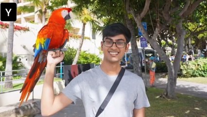 OpenAI Whistleblower Suchir Balaji Died By Suicide, Says Final Report; Family Claims Injustice