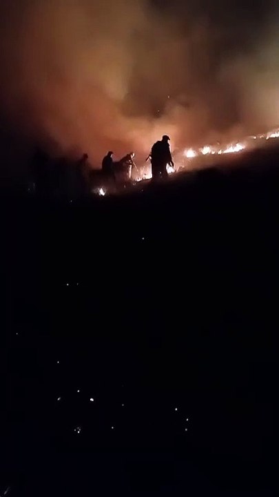 Incendios en el sector serrano de Coronel Suarez