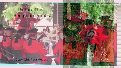 Picture This: Red photographs