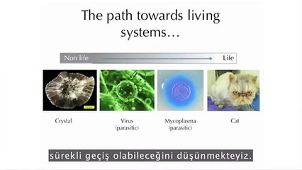 Yaşamla Yaşam Olmayan Arasındaki Çizgi - TED-yeni