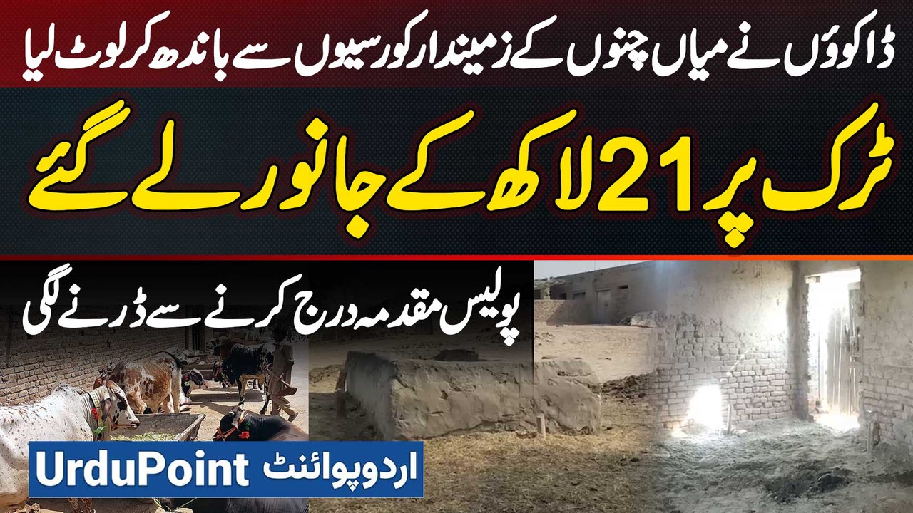 Robbers Tied Up The Farmer And Looted Animals Worth 2.1 Million - Threats Of Murder For Filing FIR