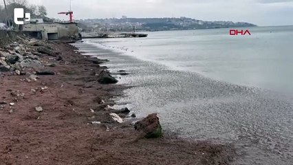 Tekirdağ sahili kırmızı yosunla kaplandı
