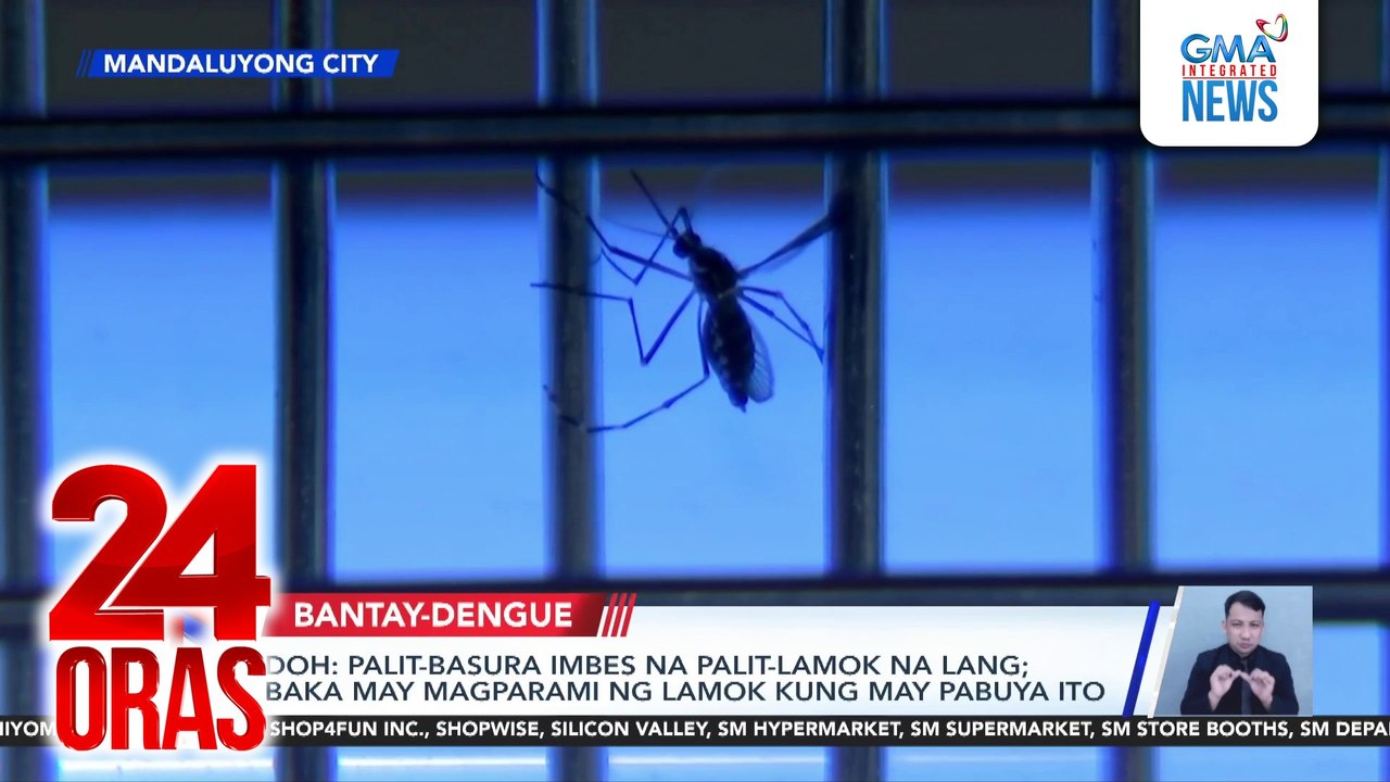 DOH - Palit-basura imbes na palit-lamok na lang; baka may magparami ng lamok kung may pabuya ito | 24 Oras