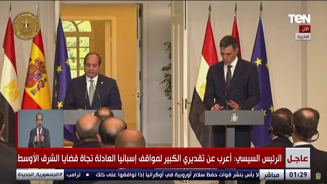 السيسي: اتفقت مع رئيس وزراء إسبانيا على تكثيف التعاون لوقف الهجمات العدائية ضد السفن في باب المندب