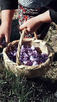 P.UBLlClTE 🛍️ Le LlEN de ce produit (n°343) est dans ma Bl0 (La Bl0-graphie est le texte de présentation sur ma page d’accueil insta, sous ma photo de profil)😀 Pour votre santé, évitez de grignoter entre les repas. mangerbouger.fr