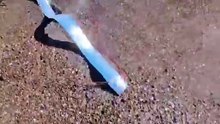 A deep-sea creature rarely seen by humans called the oarfish has washed ashore in Mexico!