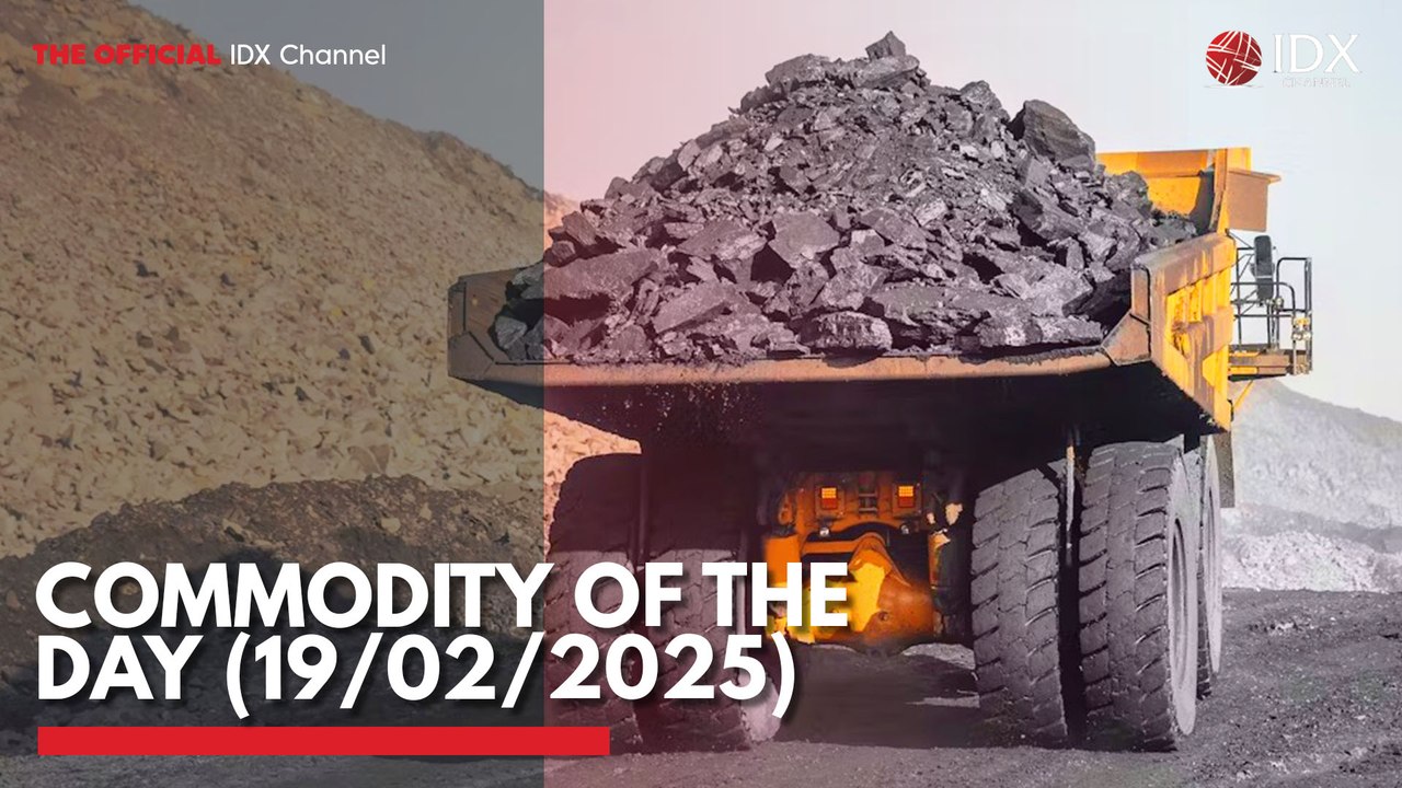 Commodity of the Day (19/02/2025) - video Dailymotion