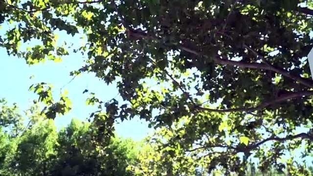 Google paga 326 milhões de euros à receita italiana em acordo judicial