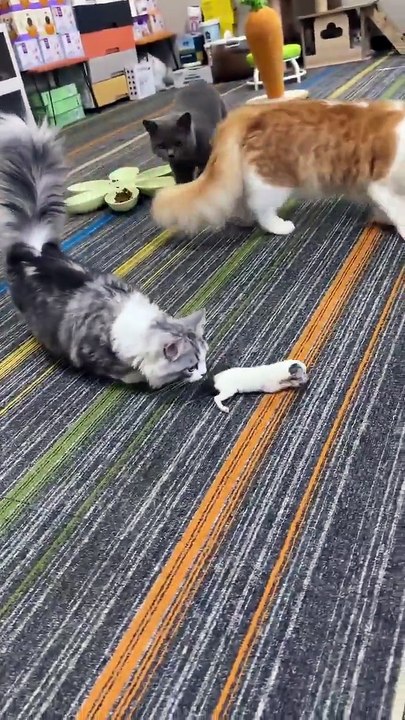 Bayi Siapa Ini?