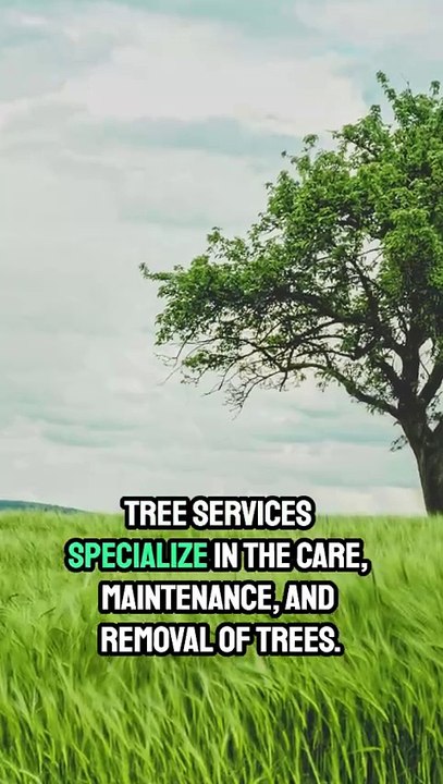 Tree Service | ABE Tree Service | Allentown, PA