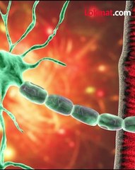 जीबीएसमुळे पुणे जिल्ह्यातील आणखी दोन रुग्णांचा मृत्यू झालाय.