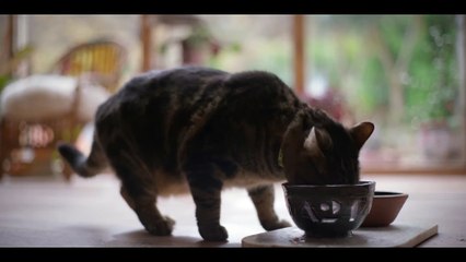 Bring Her Back | Official Teaser HD | A24