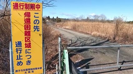 Director del OIEA visita Fukushima cuando Japón retoma la energía nuclear