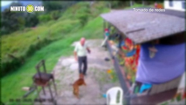 Denuncia de maltrato animal llevó a la Policía a rescatar un perrito en San Cristóbal