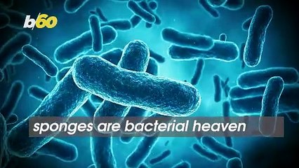 Your Dish Sponge is Harboring a Frightening Amount of Bacteria
