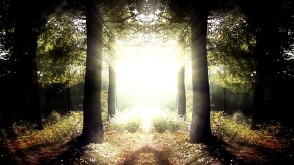 HEALING FOR THE DIVINE FEMININE INNER CHILD - FATHER WOUND - LIGHT LANGUAGE ALCHEMICAL CODES OF UNITY
