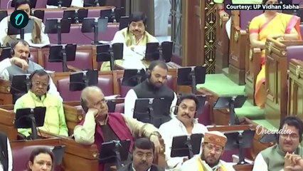 CM Yogi ने विधानसभा में Mohammed Shami को क्यों किया याद, Akhilesh Yadav क्या बोले? | Mahakumbh 2025