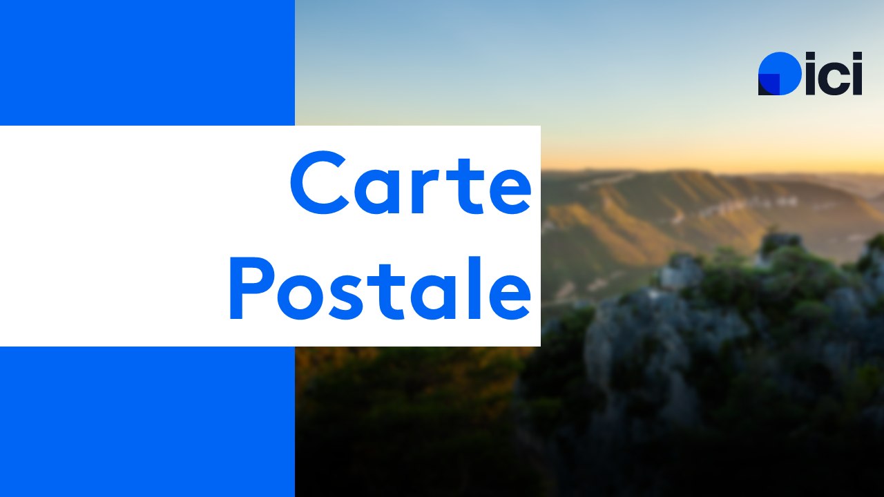 Des moutons sur le Domaine Royal Jarras.