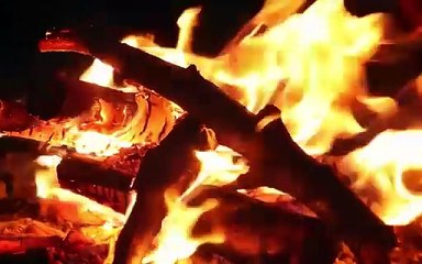 🌳 Building a Cozy Home Inside a Giant Hollow Tree | Ultimate Wilderness Shelter🏡 #camping #survival