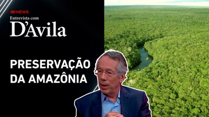Como a agenda ambiental do Brasil pode ganhar credibilidade? | ENTREVISTA COM D'AVILA